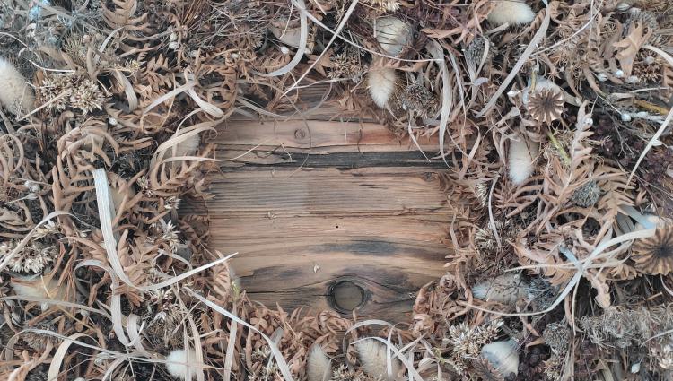 Kurse und Ausbildung in Pflanzenverarbeitung